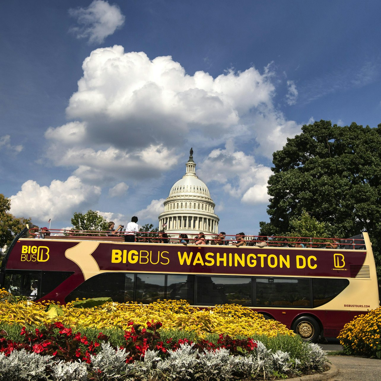 Washington D.C. Night Tour - Photo 1 of 7